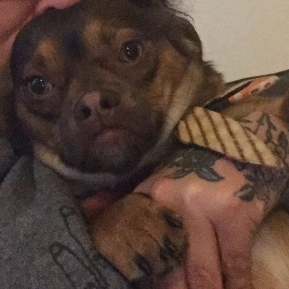 Meet your Posher, Morgan